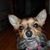 Donna Jackman's profile image