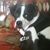 Susie Mitchell's profile image