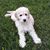 Cathy Periman Fabel's profile image