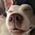David Crozier's profile image