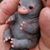 Simon Tassano's profile image