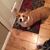 Adrene Linehan's profile image
