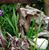 Tina Rile's profile image
