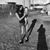 Deanna Rezk's profile image