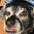 Dave Richard's profile image