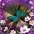 Linda Williams's profile image