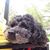 Gladys Morelli-Keim's profile image