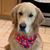 Laura Eirmann Chiaramonte's profile image