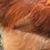 Debbie Sager Gross's profile image
