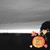 Sue Eastman-Burney's profile image