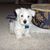 Susan Crowder Prentiss's profile image
