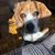 Cindy Bailey-McCardle's profile image