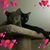 Linda Eno's profile image