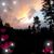 Cindy Chavez Hawxby's profile image