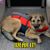 Cheryl Kilpatrick's profile image