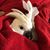 Rewa GeeGee Powell-Mack's profile image