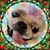 Glen McPhail's profile image
