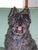 Cheryl P.'s profile image