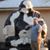 Brian R. Sobecki's profile image