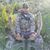 Sean Flinders's profile image