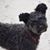 Priscilla Hoobler's profile image
