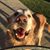 Audra Lawdermilt's profile image