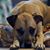 Liz Sanchez Chase's profile image