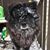 Cammie Owen's profile image