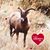 Sharon Ann Moore's profile image