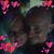 Dan InSaenz's profile image