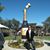 Debra Krall Zaragoza's profile image
