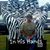 Tami Small-Krontz's profile image