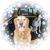 Lori Hogan's profile image