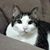 Karen Black Polkinghorne's profile image