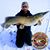 Eddie Andraschko's profile image