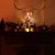 Teri McBrearty Graves's profile image