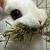 Christina Paul's profile image