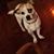 Cheryl Gaw Penner's profile image