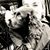 Kathy Stephenson Weesner's profile image