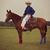 Nichole Barton Workman's profile image
