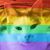 Lynda Blickenstaff's profile image