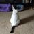 Vicki Lebovitz's profile image