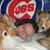 Cyndi Dilbeck's profile image