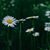 Christine Garland's profile image