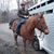 Patti Goettler's profile image