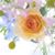 Jaylalkumar Yadav's profile image