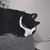 Lynn Forney's profile image
