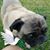Jose L. Figueroa's profile image