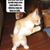 Tamey Iery's profile image