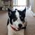 Cindy Barbaria Weaver's profile image